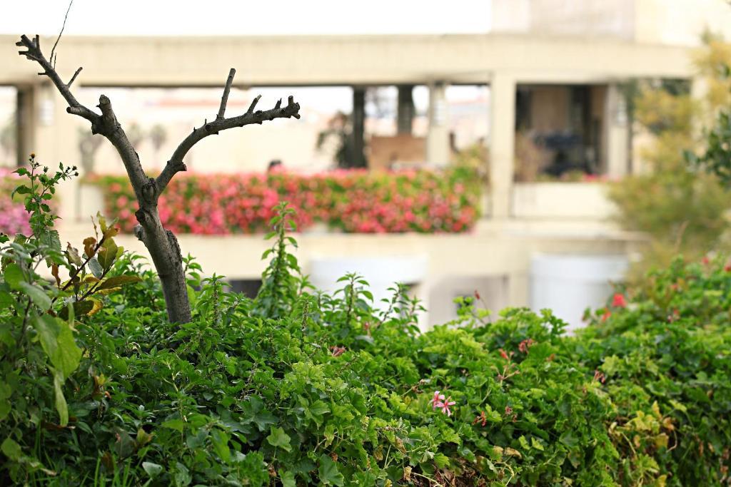Hotel Beit Shmuel Jeruzsálem Kültér fotó